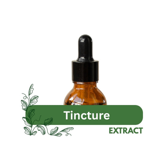 Anise